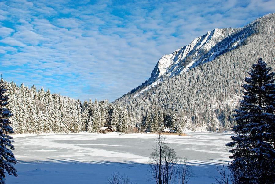 Ferienhaus Alpenflair Bei ชลีเอร์ซี ภายนอก รูปภาพ